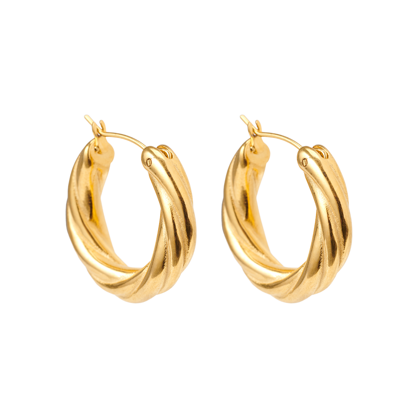 Spiral Twist Elegance Earrings