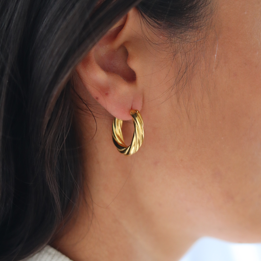 Spiral Twist Elegance Earrings